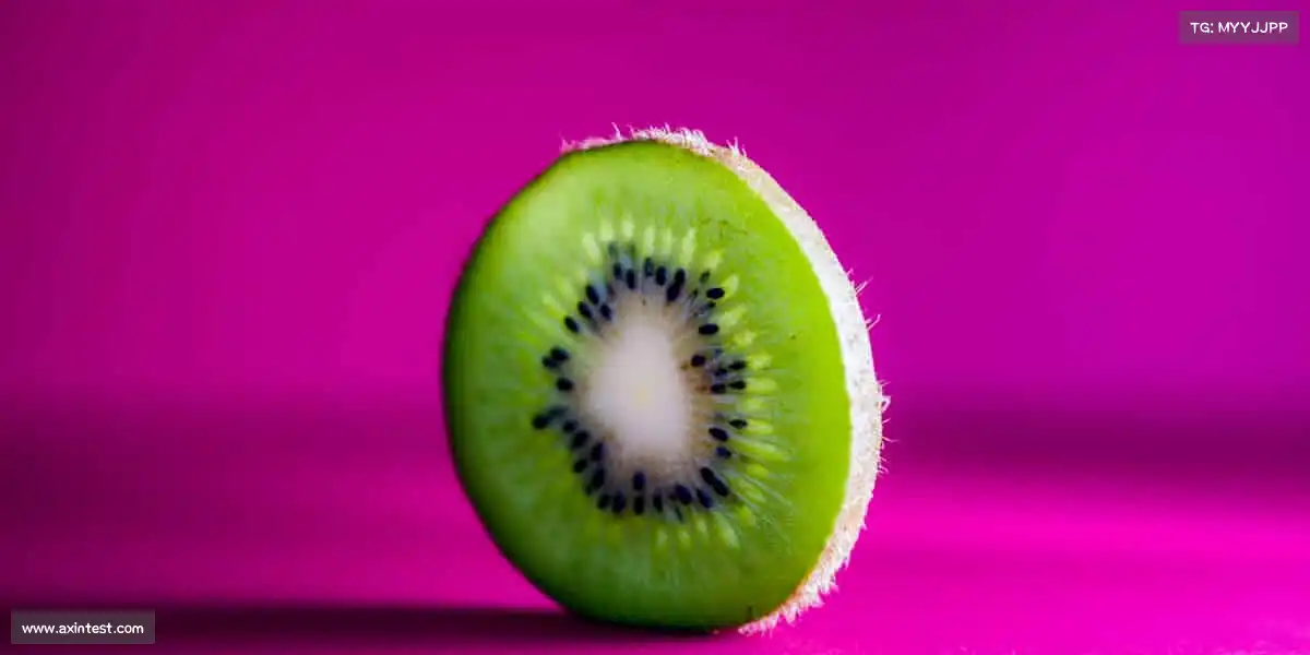 行业领先的理由